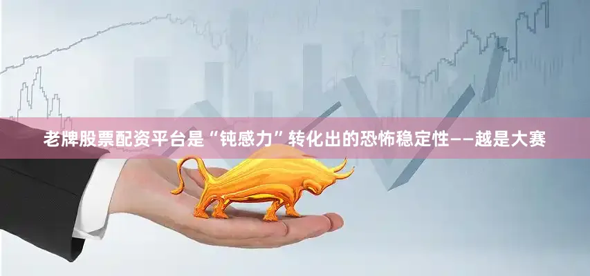 老牌股票配资平台是“钝感力”转化出的恐怖稳定性——越是大赛