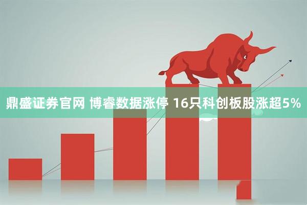 鼎盛证券官网 博睿数据涨停 16只科创板股涨超5%