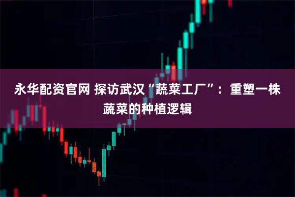 永华配资官网 探访武汉“蔬菜工厂”：重塑一株蔬菜的种植逻辑