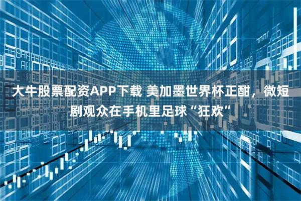 大牛股票配资APP下载 美加墨世界杯正酣,微短剧观众在手机里足球“狂欢”